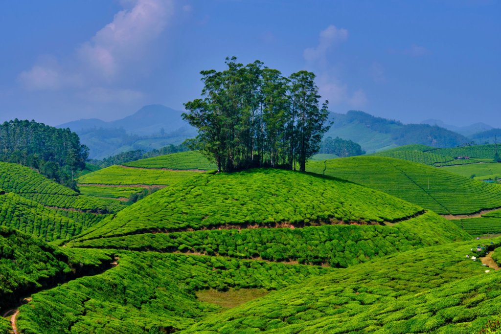  tourist places in India.