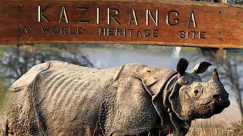 Kaziranga National Park