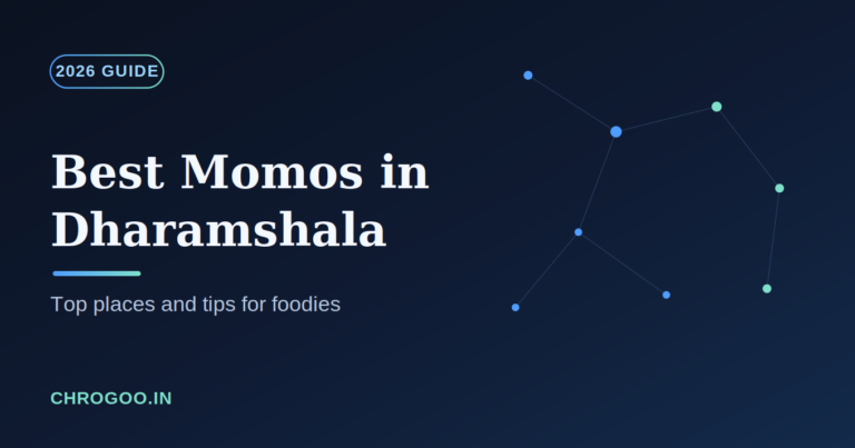 Best Momos in Dharamshala Top Places & Tips for Foodies